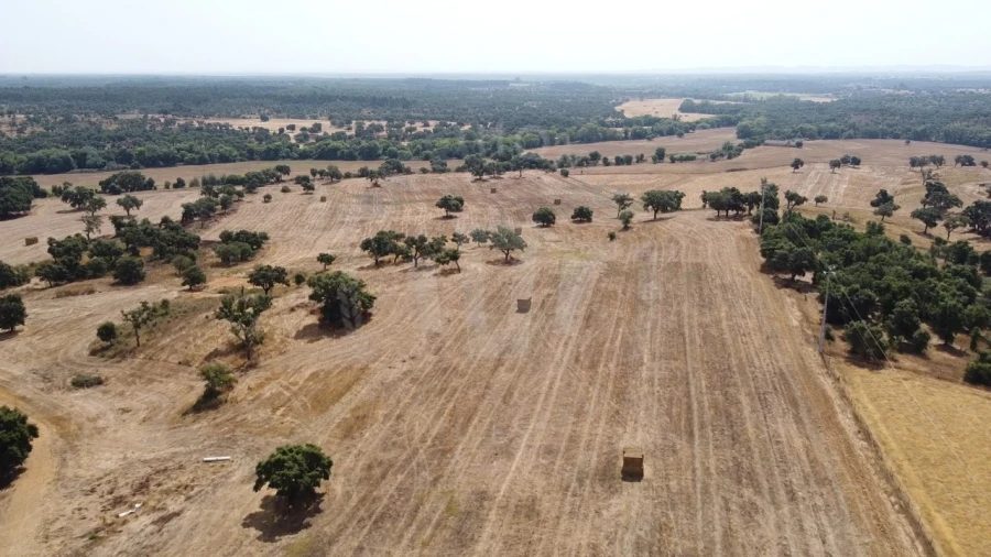 Quinta T1 para Venda em São Domingos e Vale de Água Foto 2
