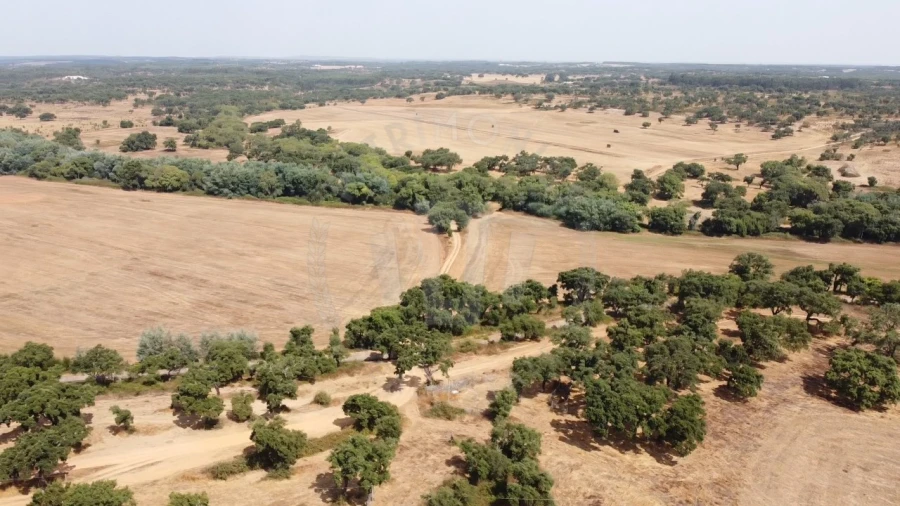 Quinta T1 para Venda em São Domingos e Vale de Água Foto 6