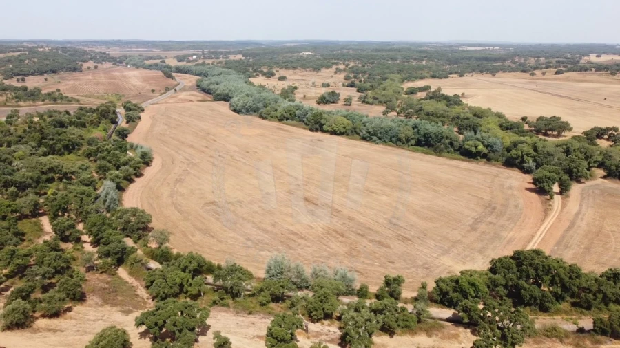 Quinta T1 para Venda em São Domingos e Vale de Água Foto 7