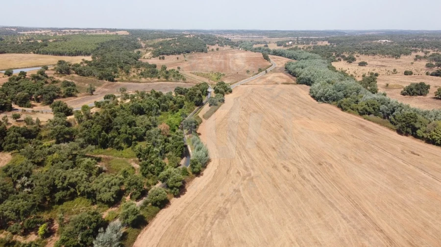 Quinta T1 para Venda em São Domingos e Vale de Água Foto 8