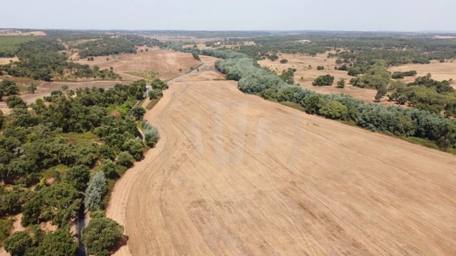 Quinta T1 para Venda em São Domingos e Vale de Água Foto 9