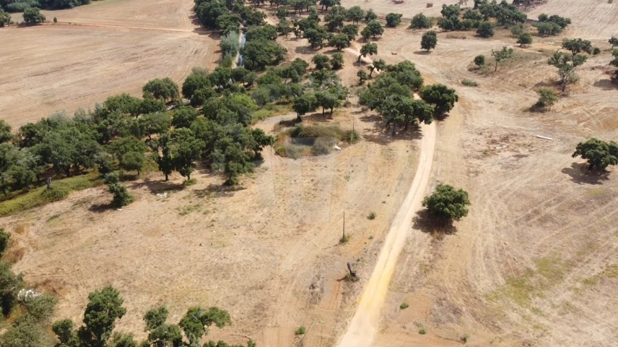 Quinta T1 para Venda em São Domingos e Vale de Água Foto 17