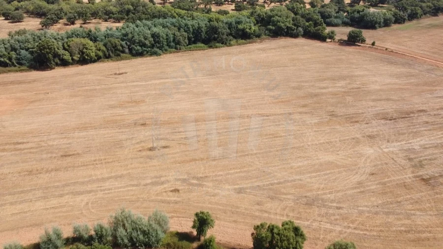 Quinta T1 para Venda em São Domingos e Vale de Água Foto 24
