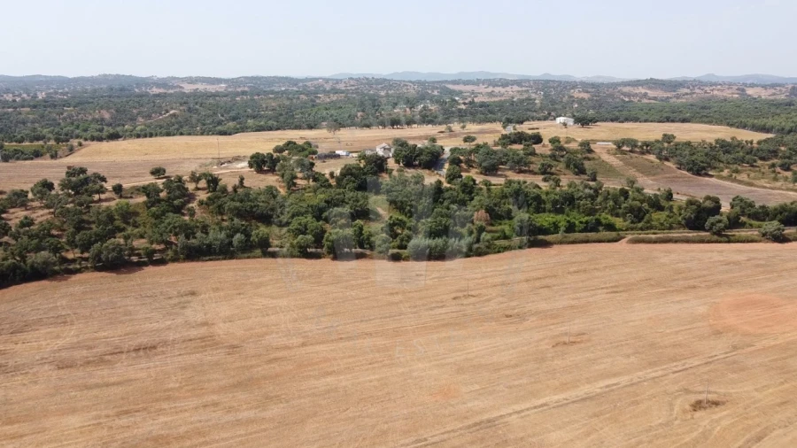 Quinta T1 para Venda em São Domingos e Vale de Água Foto 26