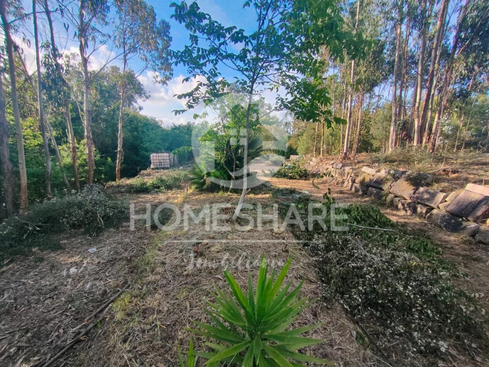 Terreno Agricola ou Rústico para Venda em Alfena Foto 4