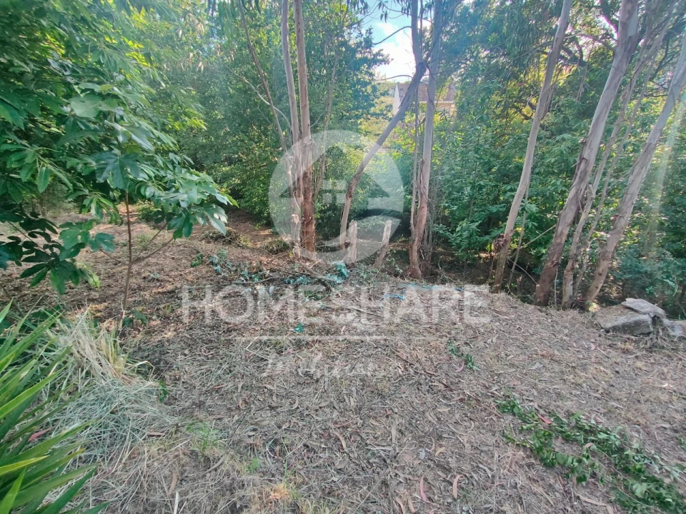 Terreno Agricola ou Rústico para Venda em Alfena Foto 6