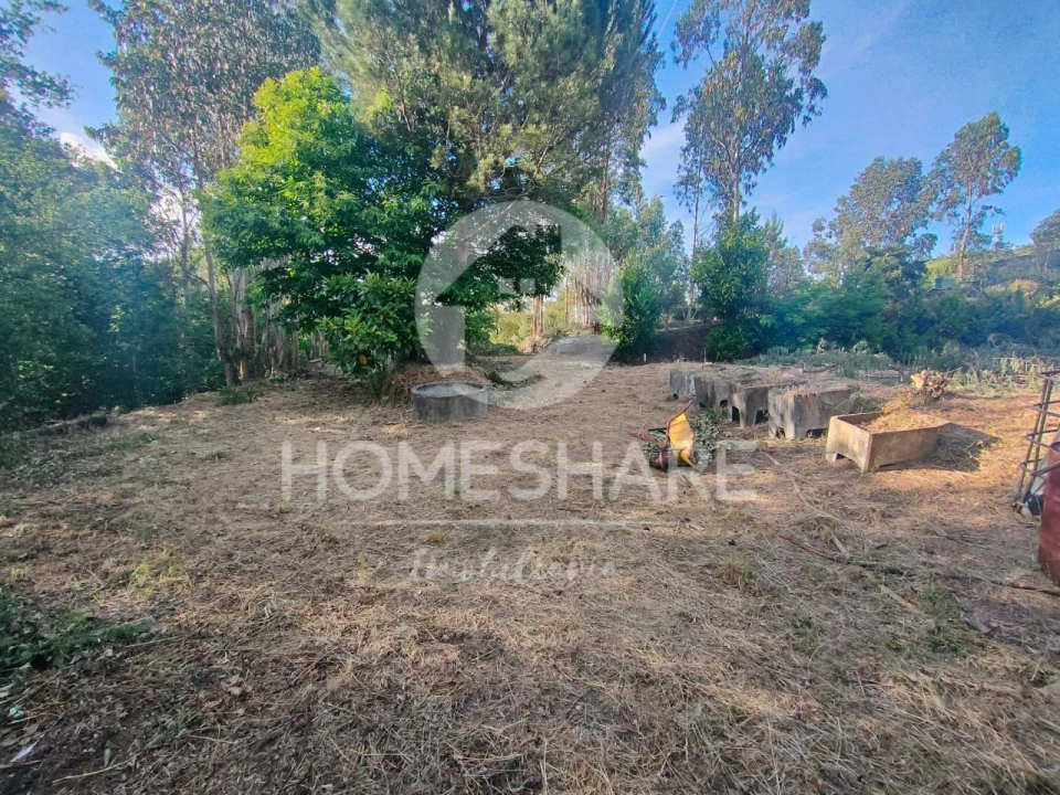 Terreno Agricola ou Rústico para Venda em Alfena Foto 7