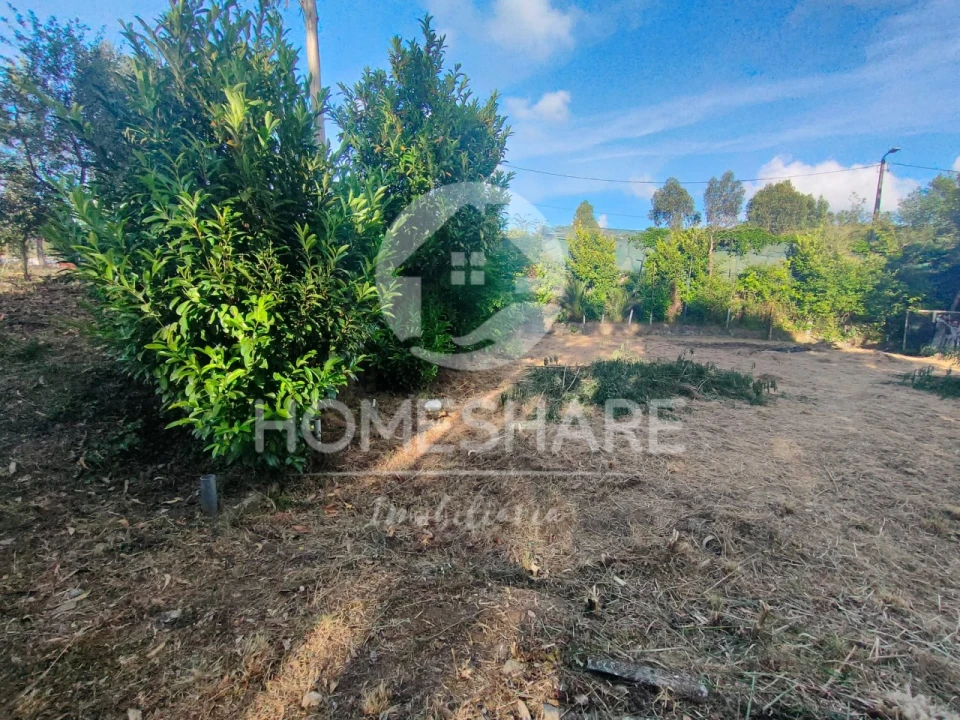 Terreno Agricola ou Rústico para Venda em Alfena Foto 9