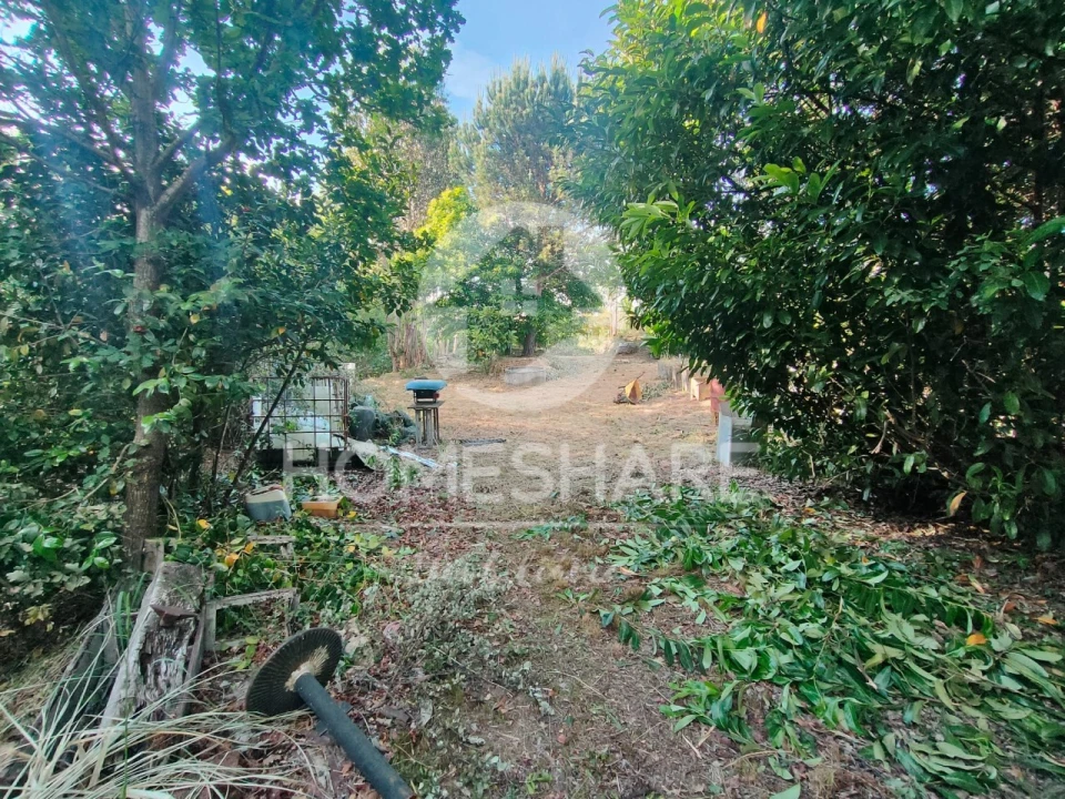 Terreno Agricola ou Rústico para Venda em Alfena Foto 11