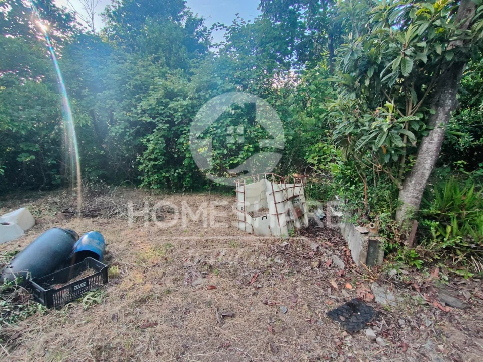 Terreno Agricola ou Rústico para Venda em Alfena Foto 17
