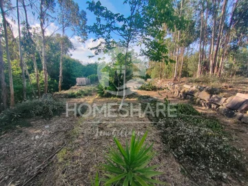 Terreno Agricola ou Rústico para Venda em Alfena