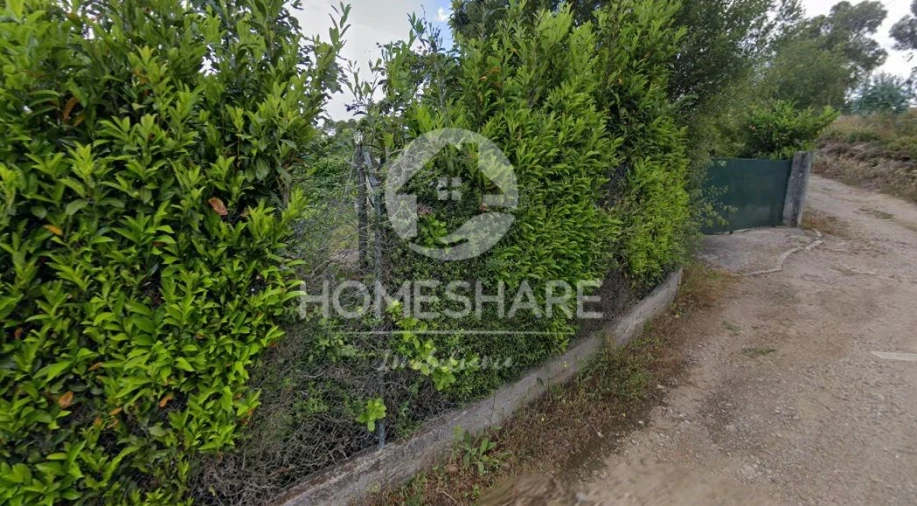 Terreno Agricola ou Rústico para Venda em Alfena Foto 2