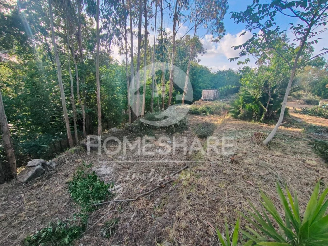 Terreno Agricola ou Rústico para Venda em Alfena Foto 5