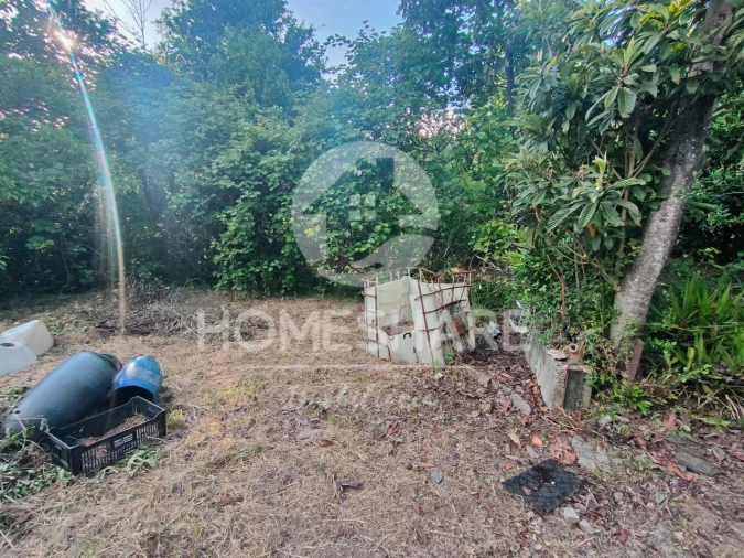 Terreno Agricola ou Rústico para Venda em Alfena Foto 17