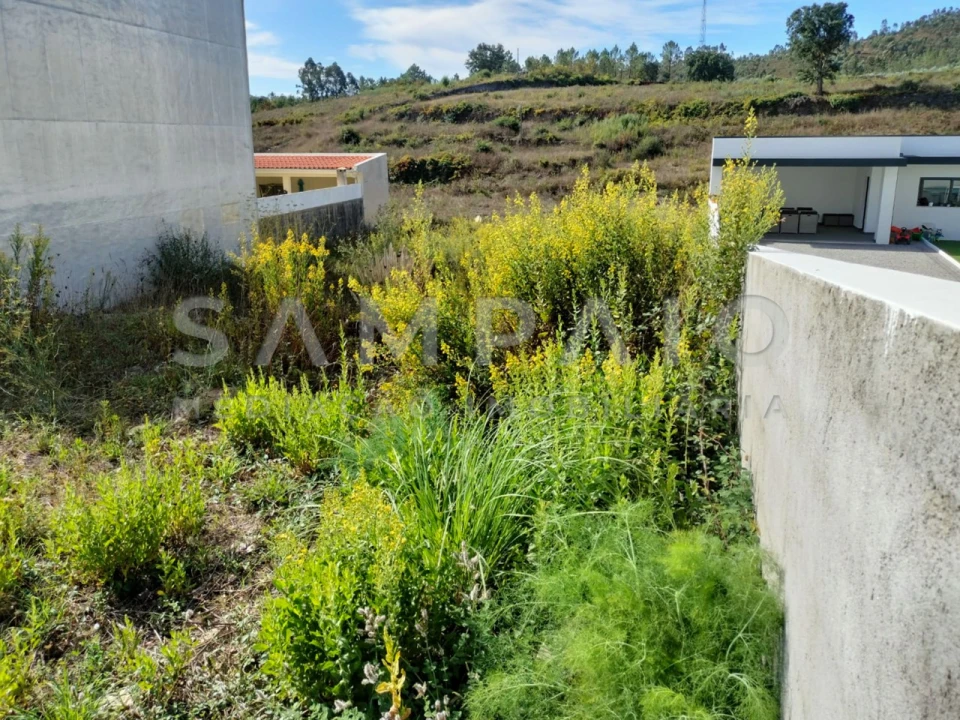 Terreno para Venda em Campo e Sobrado Foto 7