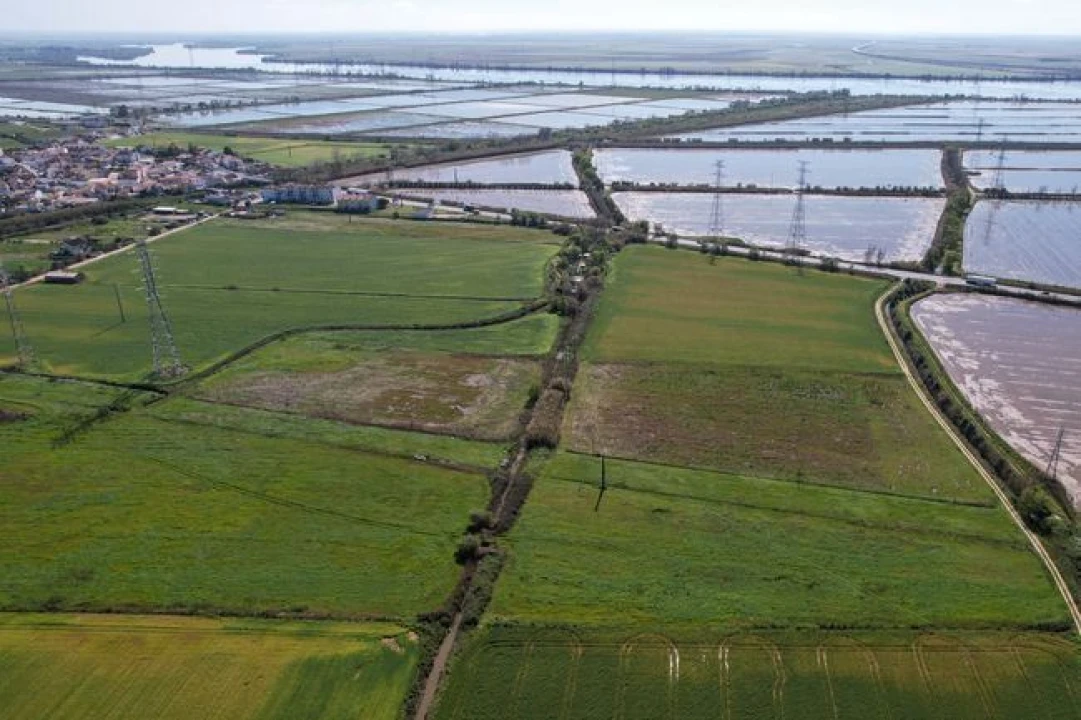 Terreno Agricola ou Rústico para Venda em Vila Nova da Rainha Foto 5