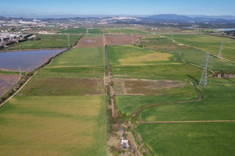 Terreno Agricola ou Rústico para Venda em Vila Nova da Rainha Foto 3