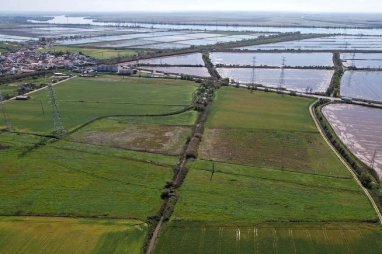 Terreno Agricola ou Rústico para Venda em Vila Nova da Rainha Foto 5