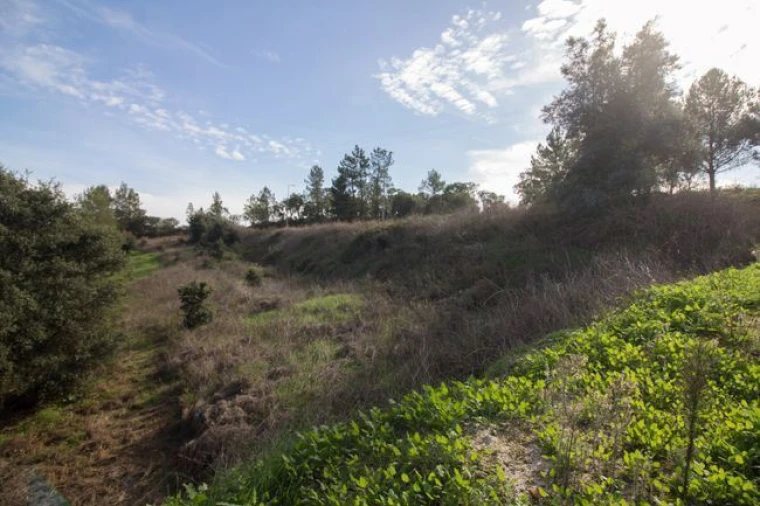 Terreno para Venda em Ota Foto 7