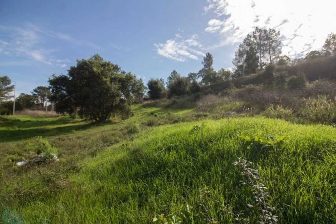 Terreno para Venda em Ota Foto 24