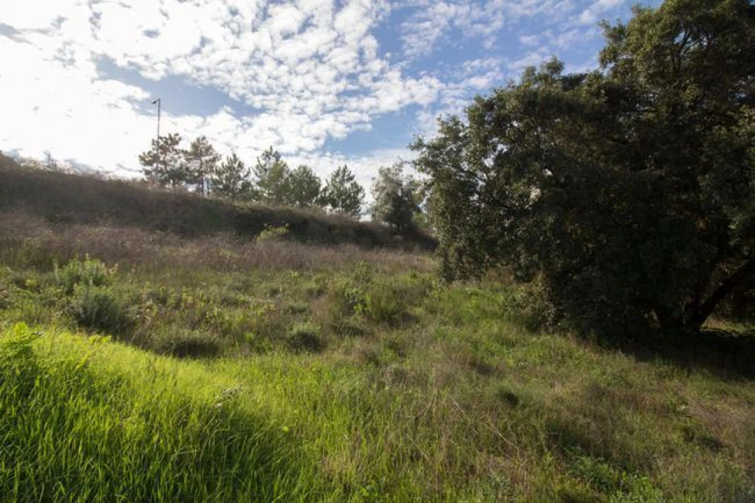 Terreno para Venda em Ota Foto 25