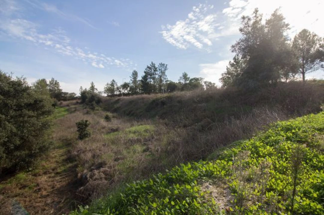 Terreno para Venda em Ota Foto 7