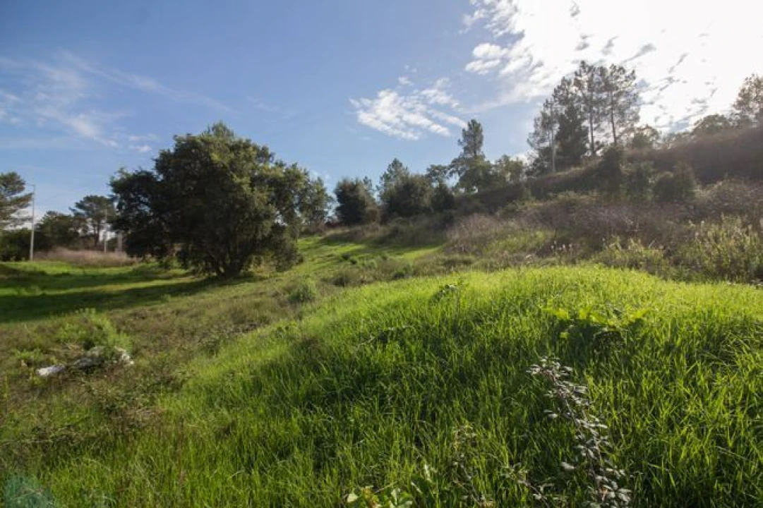 Terreno para Venda em Ota Foto 24