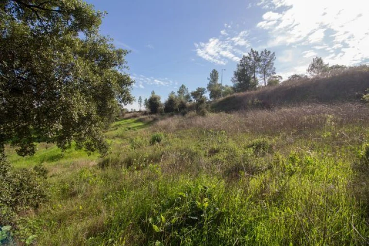 Terreno para Venda em Ota Foto 6
