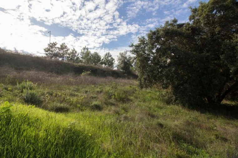 Terreno para Venda em Ota Foto 25