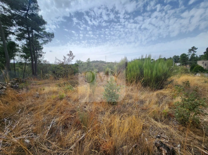 Terreno para Venda em São Tomé do Castelo e Justes Foto 4