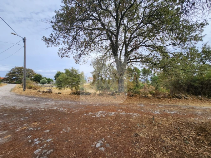 Terreno para Venda em São Tomé do Castelo e Justes Foto 8