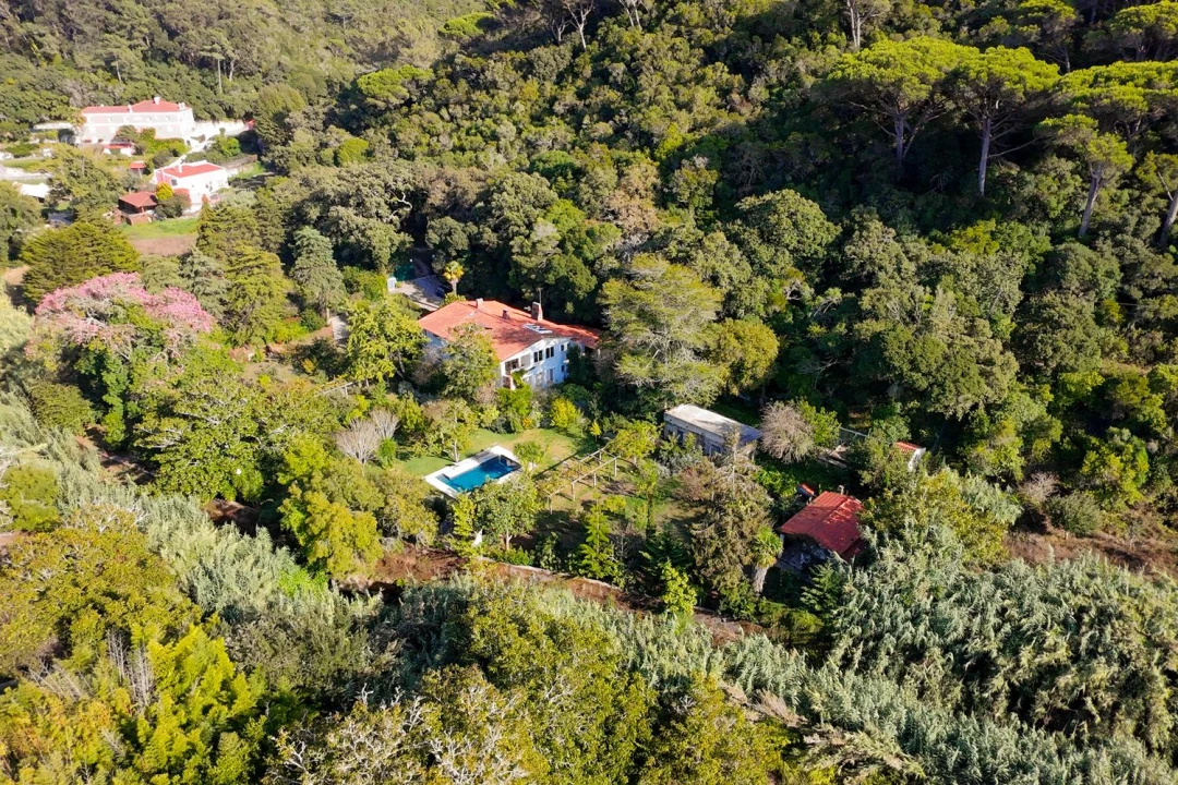 Moradia para Venda em Agualva e Mira-Sintra Foto 3