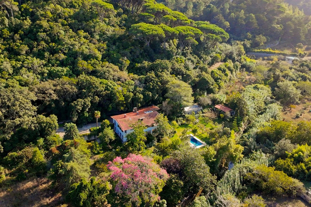 Moradia para Venda em Agualva e Mira-Sintra Foto 4