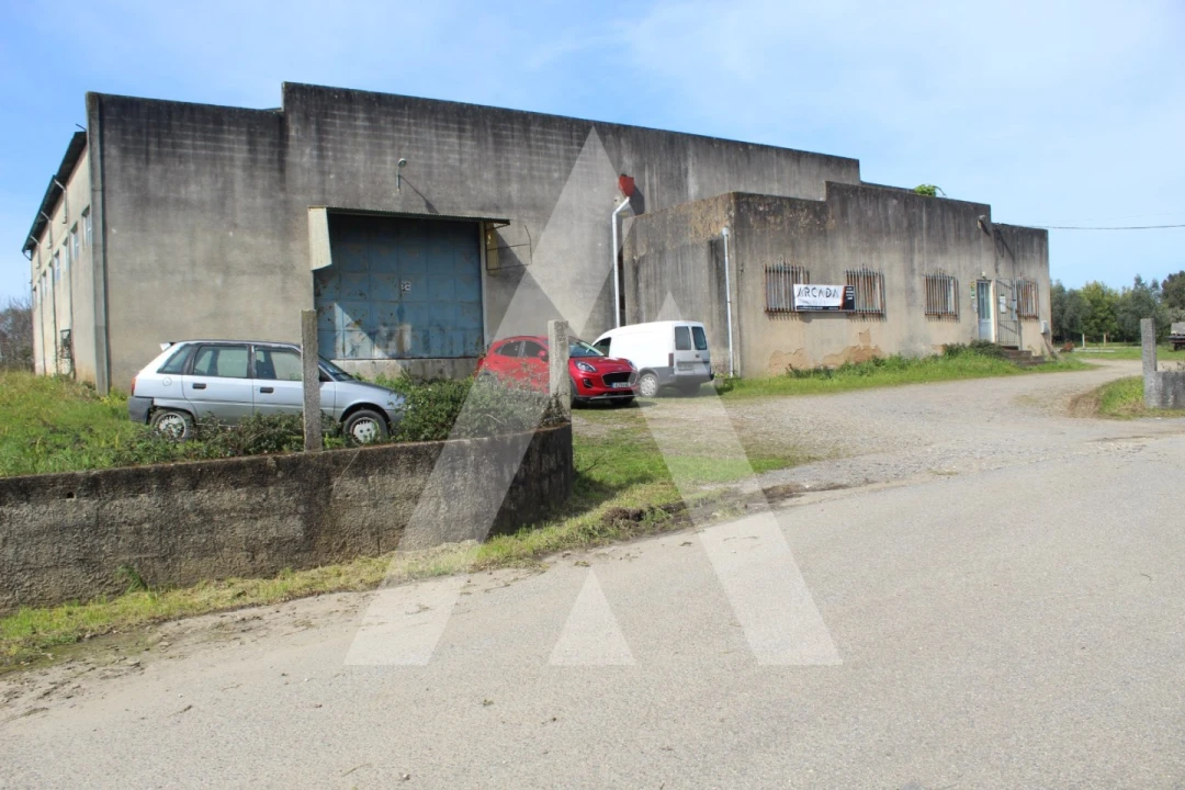 Armazém para Venda em Macinhata do Vouga Foto 4