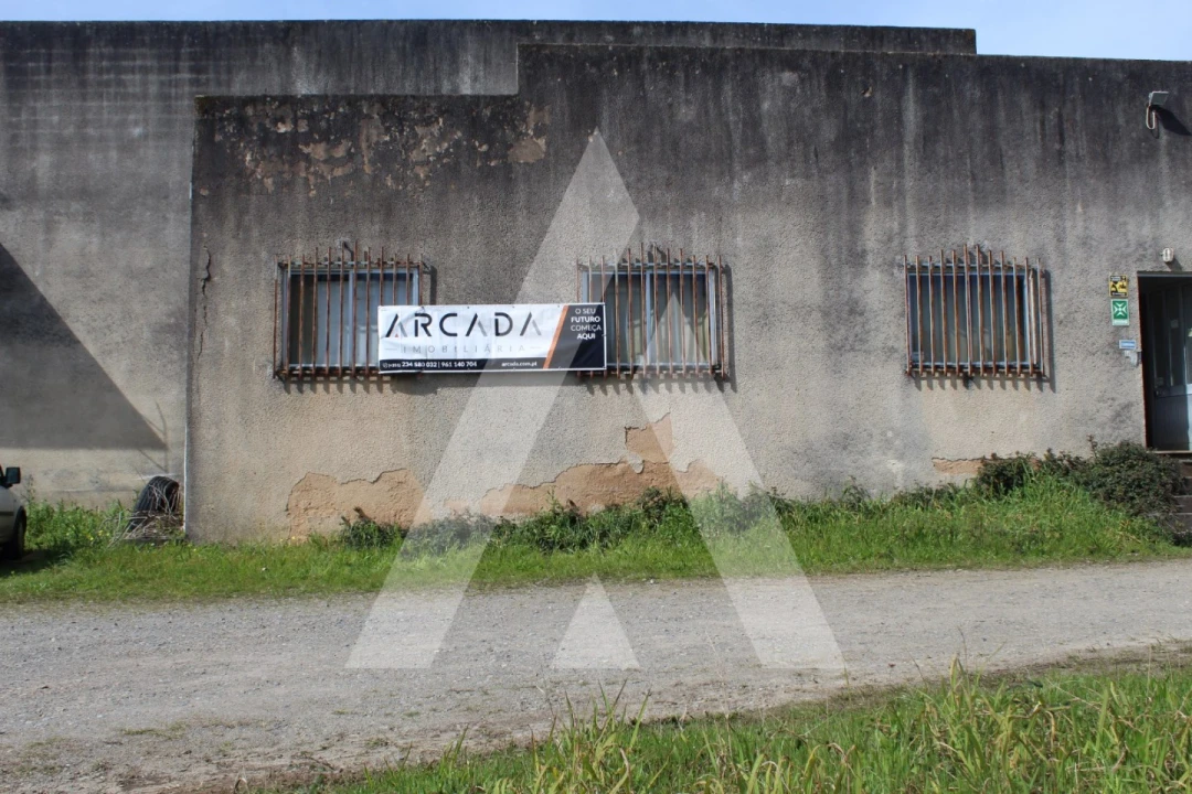 Armazém para Venda em Macinhata do Vouga Foto 7