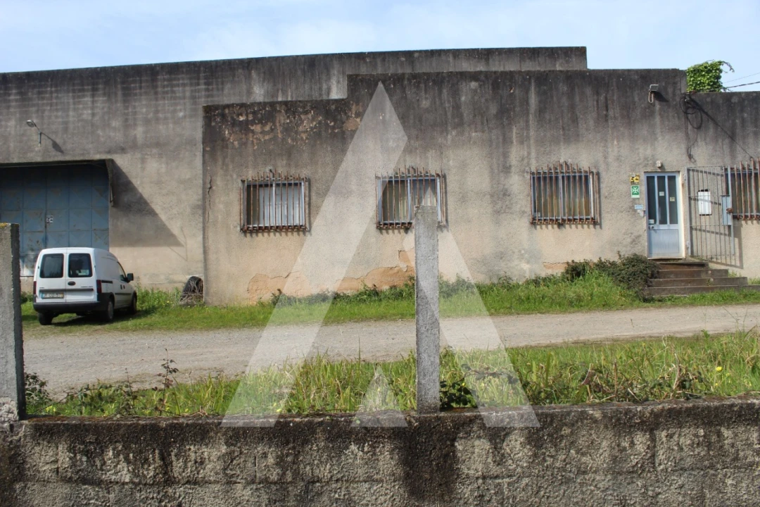 Armazém para Venda em Macinhata do Vouga Foto 8