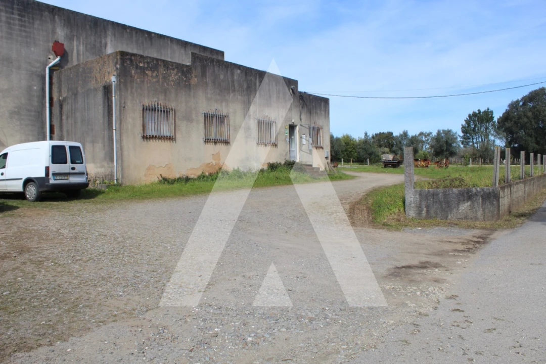 Armazém para Venda em Macinhata do Vouga Foto 10