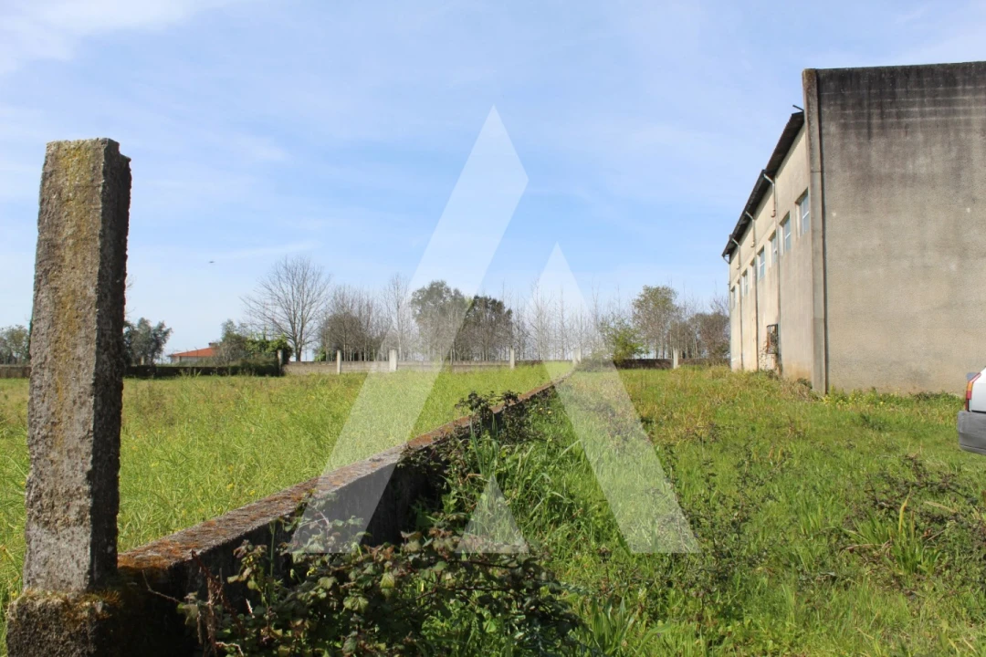 Armazém para Venda em Macinhata do Vouga Foto 14