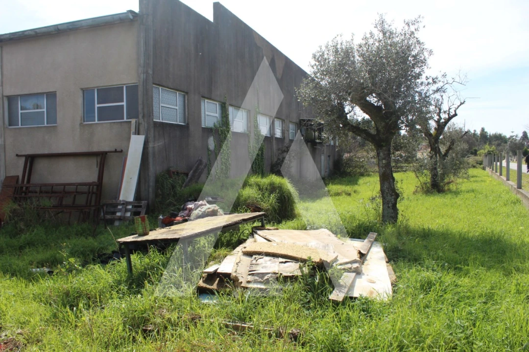 Armazém para Venda em Macinhata do Vouga Foto 37