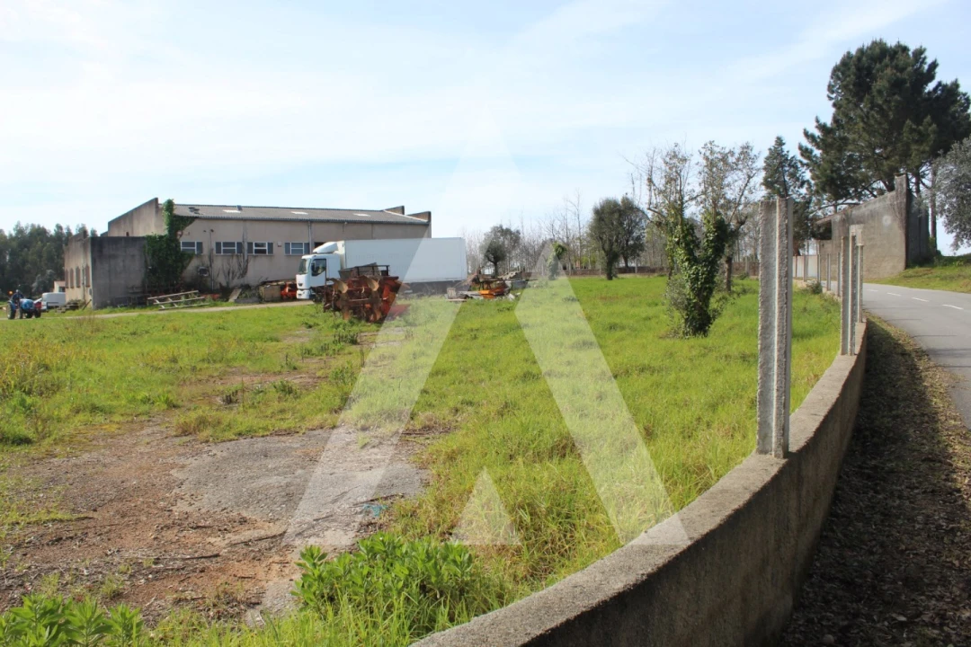 Armazém para Venda em Macinhata do Vouga Foto 38