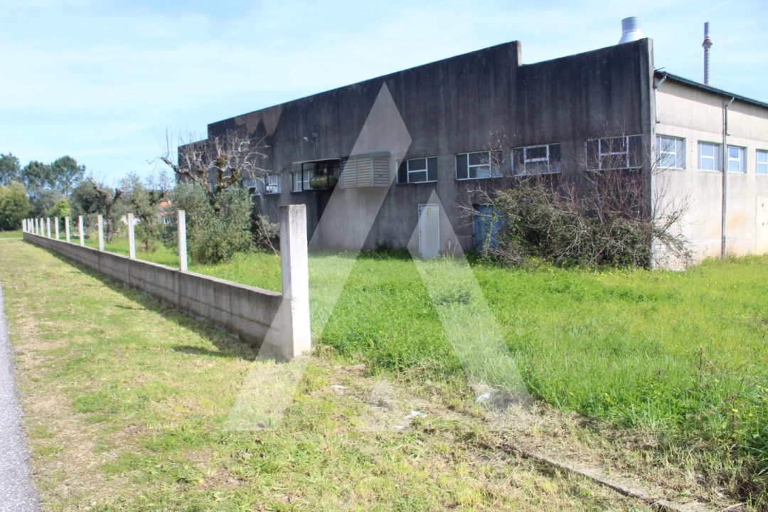 Armazém para Venda em Macinhata do Vouga Foto 42
