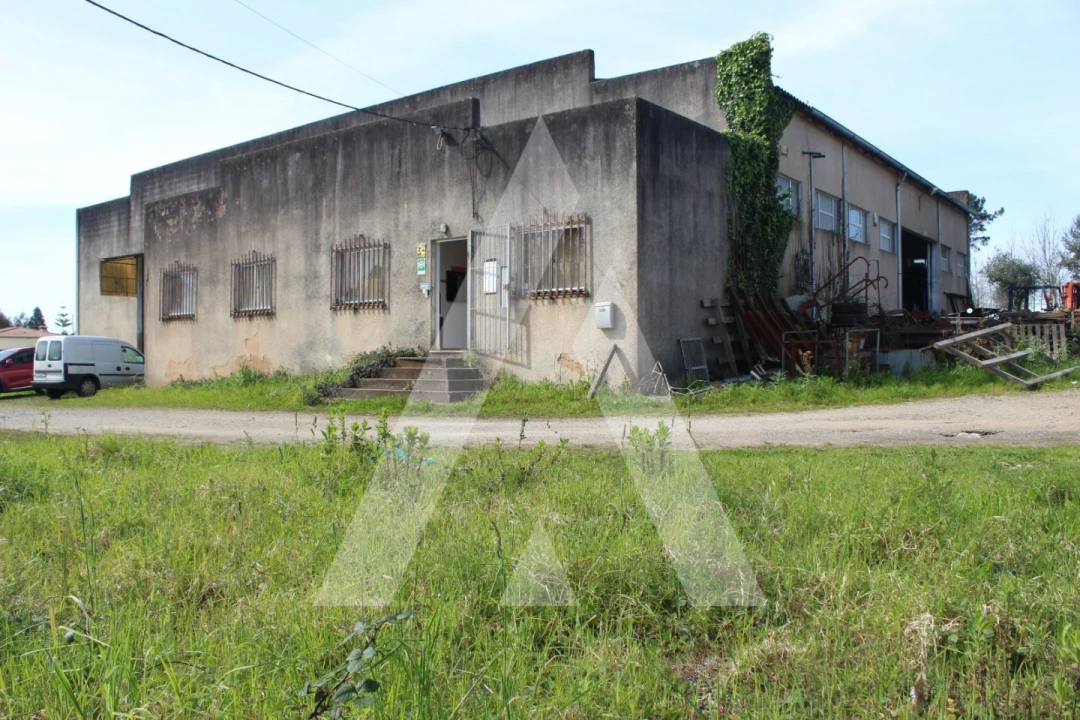 Armazém para Venda em Macinhata do Vouga Foto 43