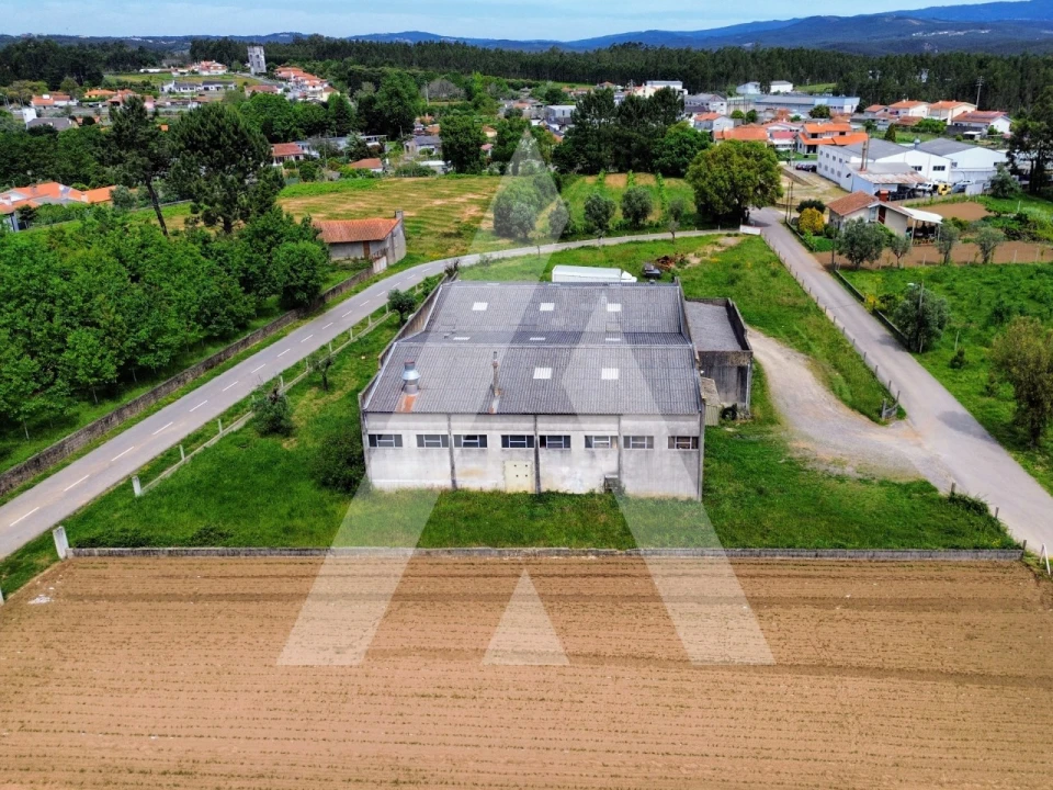 Armazém para Venda em Macinhata do Vouga Foto 2