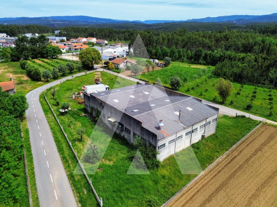 Armazém para Venda em Macinhata do Vouga Foto 1