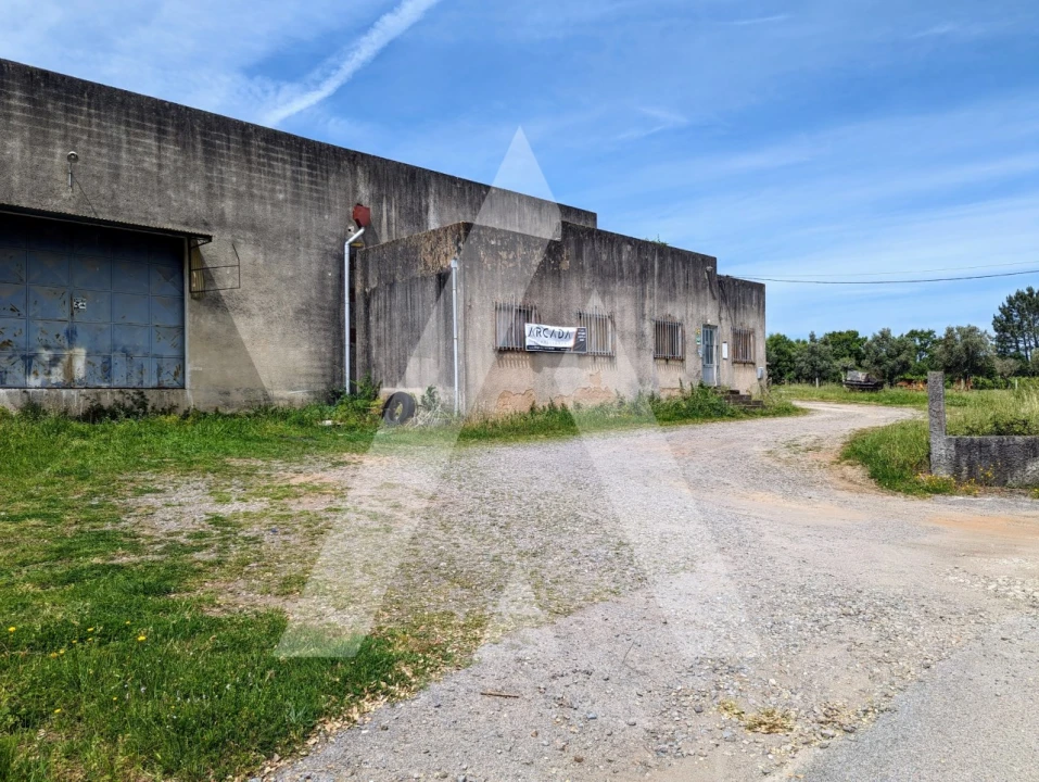 Armazém para Venda em Macinhata do Vouga Foto 44