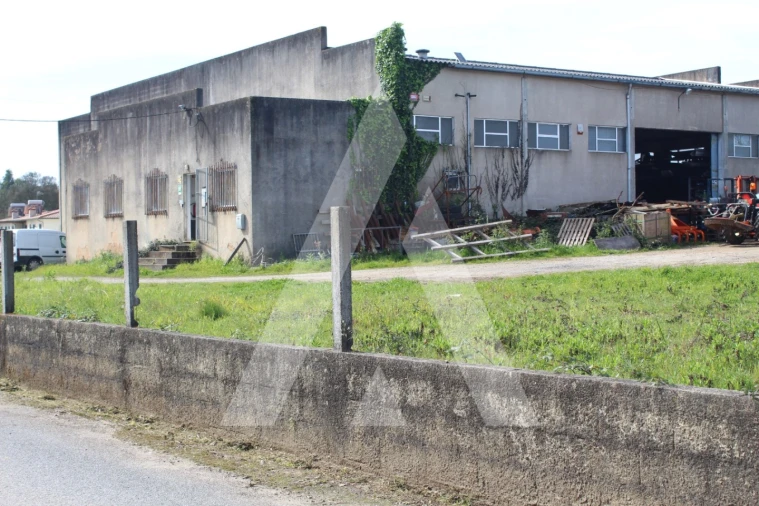 Armazém para Venda em Macinhata do Vouga Foto 6