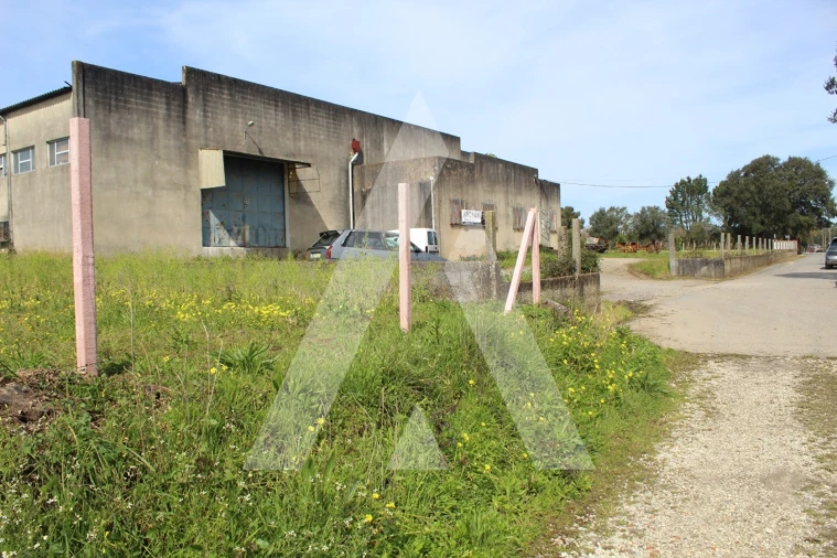 Armazém para Venda em Macinhata do Vouga Foto 9