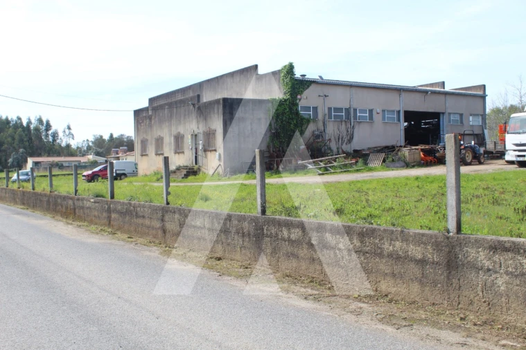 Armazém para Venda em Macinhata do Vouga Foto 11