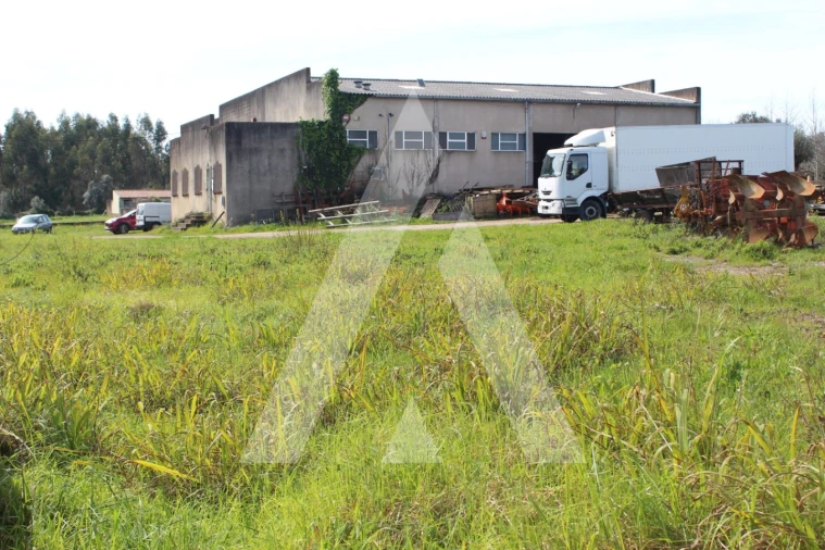 Armazém para Venda em Macinhata do Vouga Foto 36