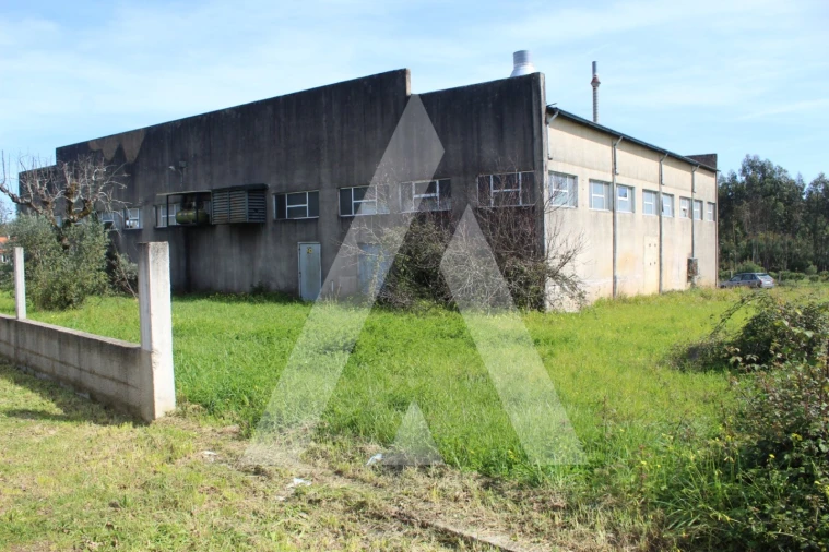 Armazém para Venda em Macinhata do Vouga Foto 39